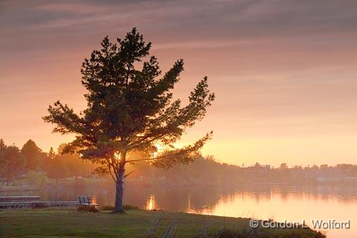 Tree By The River_16264.jpg - Rideau Canal Waterway photographed at Smiths Falls, Ontario, Canada.